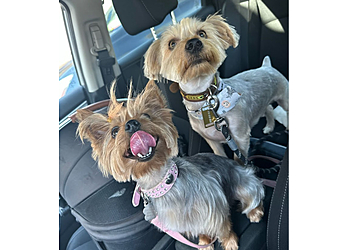 Fontana Pet Grooming Ma & Paws Pet Grooming