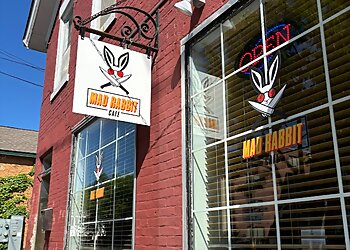 Madison Vegetarian Restaurants Mad Rabbit Cafe