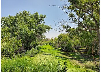 Torrance Hiking Trails Madrona Marsh Preserve