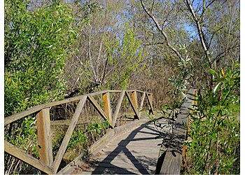 Torrance Hiking Trails Madrona Marsh Preserve