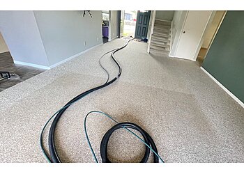 Honolulu Carpet Cleaners Magic Carpet Steam Cleaning