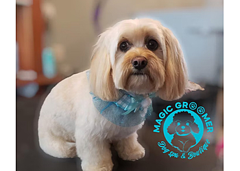 Stamford Pet Grooming Magic Groomer