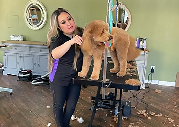 Stamford Pet Grooming Magic Groomer