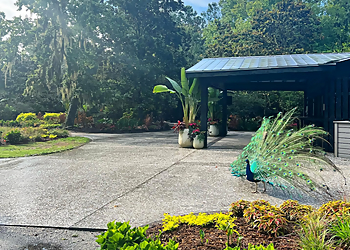 Charleston Places To See Magnolia Plantation and Gardens