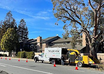San Jose Tree Services Majestic Tree Service
