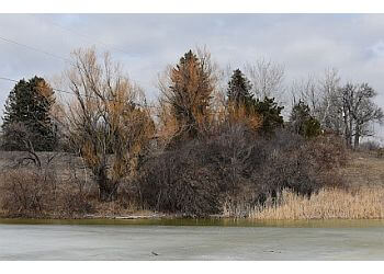 Arvada Public Parks Majestic View Park