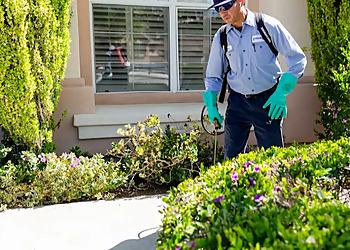 Major League Pest - Oceanside, CA Pest Control Companies - Job Site Image
