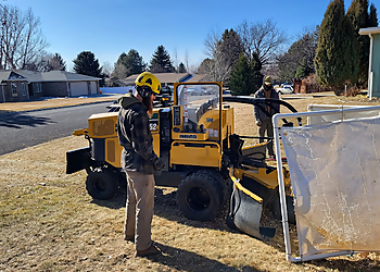 Billings Tree Services Make Like a Tree