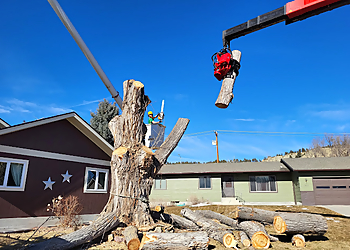Billings Tree Services Make Like a Tree