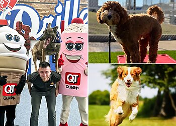 Broken Arrow Dog Training Make Your Dog Epic