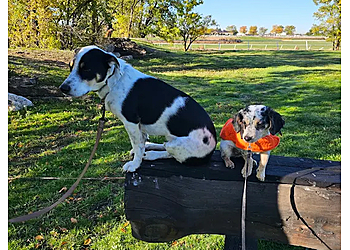 Make Your Dog Epic - Salt Lake City, UT Dog Training