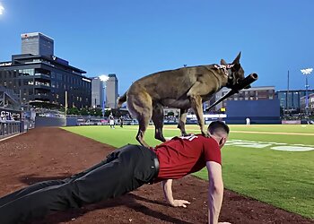 Tulsa Dog Training Make Your Dog Epic