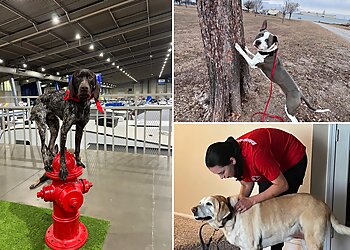 Tulsa Dog Training Make Your Dog Epic