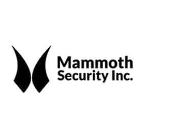 Mammoth Security Inc. Hartford Security Systems