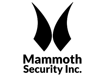 New Haven Security Systems Mammoth Security Inc. New Haven