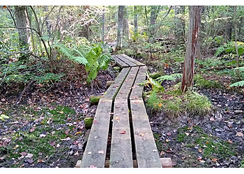 Manchester Hiking Trails Manchester Cedar Swamp Preserve