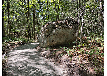 Manchester Cedar Swamp Preserve Manchester Hiking Trails image 1
