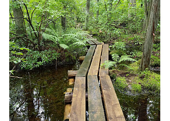 Manchester Cedar Swamp Preserve (TNC) Manchester Hiking Trails