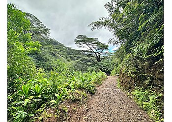 Honolulu Hiking Trails Manoa Falls Trail