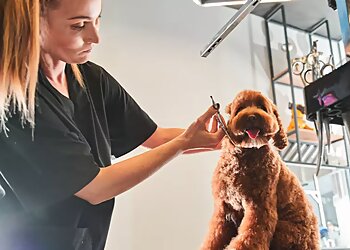 Carrollton Pet Grooming Man's Best Friend