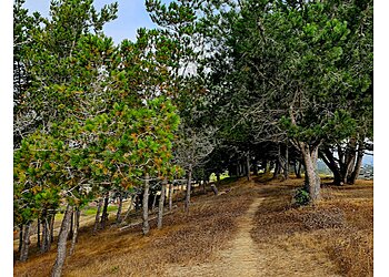 Salinas Hiking Trails Manzanita County Park