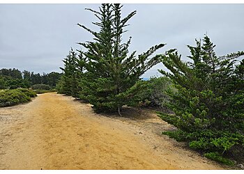 Salinas Hiking Trails Manzanita County Park