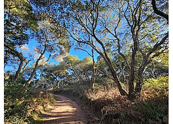 Manzanita County Park Salinas Hiking Trails image 1