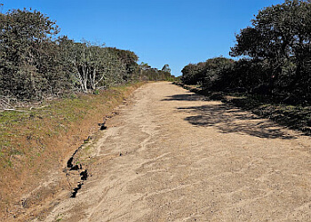 salinas