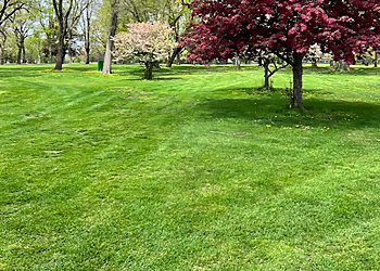 Sterling Heights Golf Courses Maple Lane Golf Club