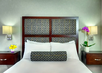 Sunnyvale Hotels Maple Tree Inn