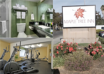 Sunnyvale Hotels Maple Tree Inn