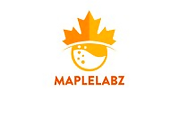 Maplelabz - South Bend, IN Web Designers - Company Logo