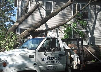 Maplewood Tree Experts Newark Tree Services