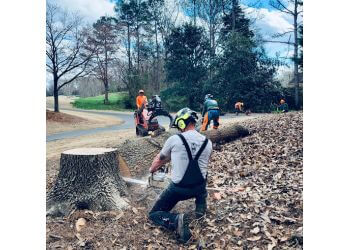 Marc’s Tree Service