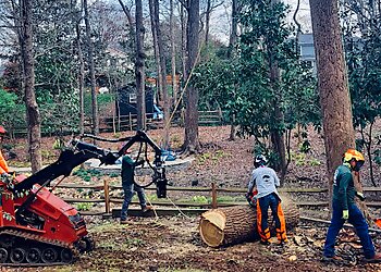 Charlotte Tree Services Marc’s Tree Service