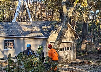 Charlotte Tree Services Marc’s Tree Service