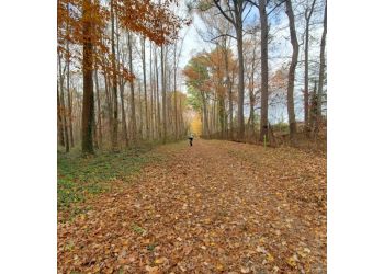 Historic Walks: 5 Stunning Hiking Trails in Newport - Kentucky