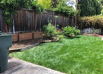 Mario's Landscape And Tree Care Sunnyvale Landscaping Companies