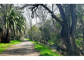 Concord Hiking Trails Markham Nature Area