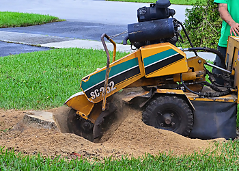 Hollywood Tree Services Marshall's Tree Service & Landscaping