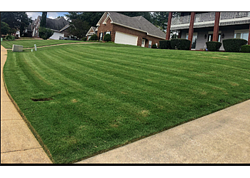 Martinez Lawn Care Martinez Lawn Care - Montgomery, AL Lawn Care Services - Project Image