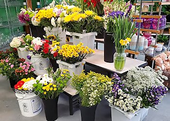 Killeen Florists Marvel's Flowers