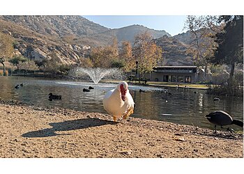 Fontana Hiking Trails Mary Vagle Nature Center