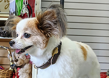 Thousand Oaks Pet Grooming Mary's Pet Salon