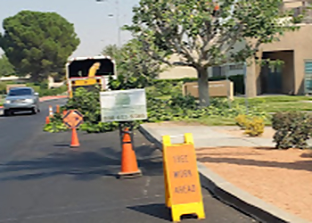 Palmdale Tree Services Master Of Tree Care Services Inc