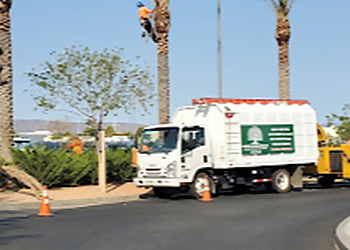 Master Of Tree Care Services Inc Palmdale Tree Services image 1