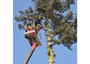 Master Tree Service