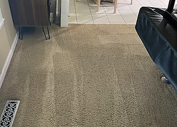 Master's Touch Carpet Cleaning - Fremont, CA Carpet Cleaners