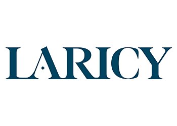 Chicago Real Estate Agents Matt Laricy - LARICY TEAM - AMERICORP LTD.