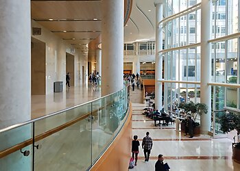 Rochester Urologists Matthew T. Gettman, MD - MAYO CLINIC